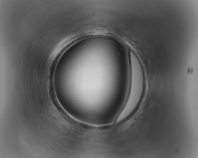 X0000113320199200909211204