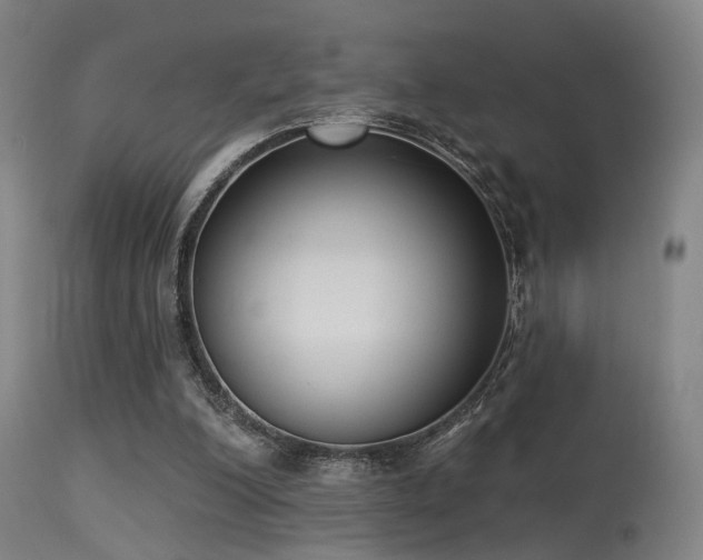 X0000113320200200909211204