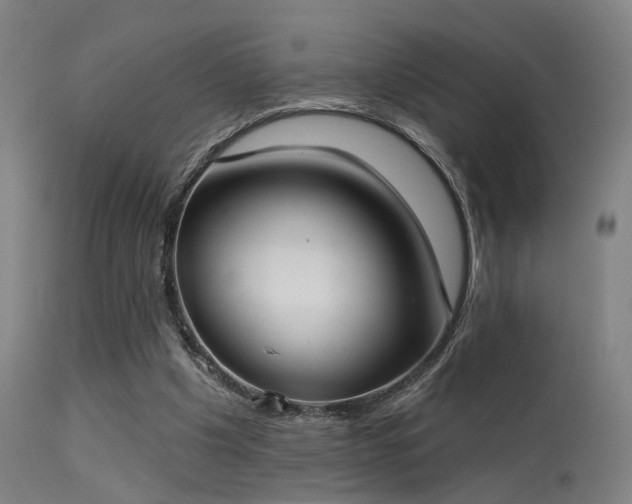 X0000113320201200909211204