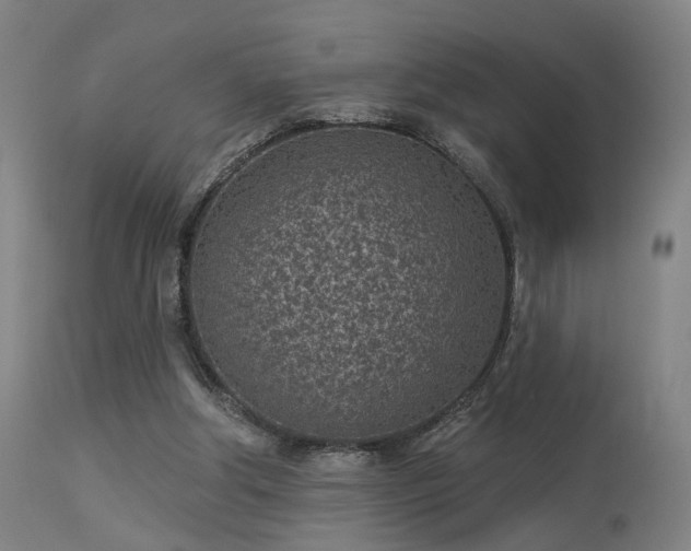 X0000113320202200909211204