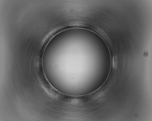 X0000113320204200909211204