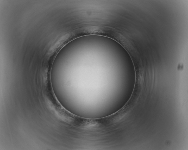 X0000113320206200909211204