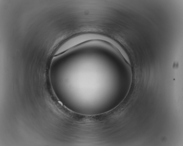 X0000113320207200909211204