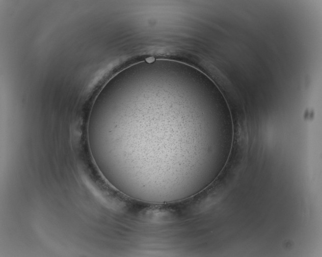 X0000113320208200909211204