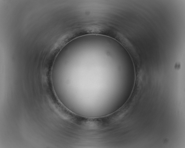 X0000113320209200909211204