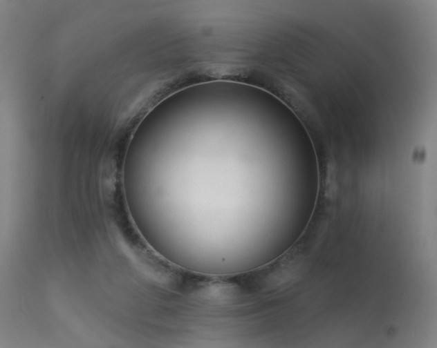 X0000113320210200909211204