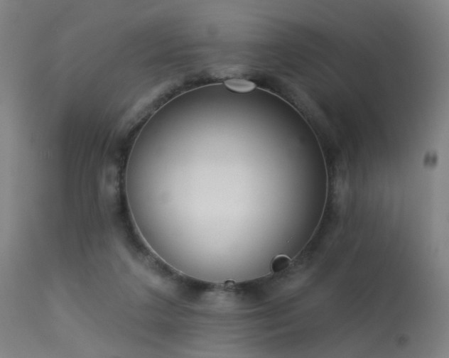 X0000113320211200909211204