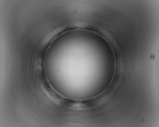 X0000113320212200909211204