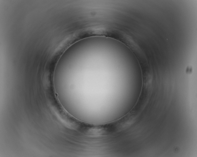 X0000113320213200909211204