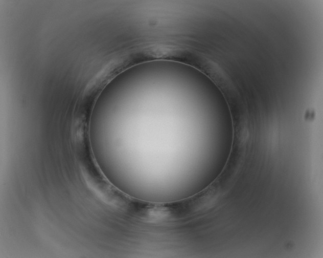 X0000113320214200909211204