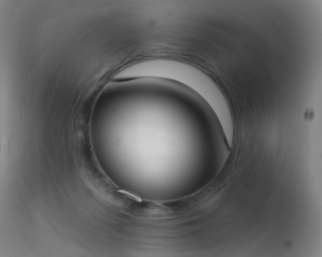 X0000113320215200909211204