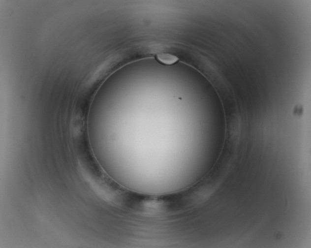 X0000113320216200909211204