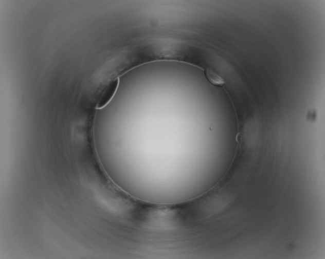 X0000113320217200909211204