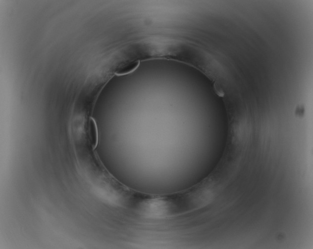 X0000113320219200909211204