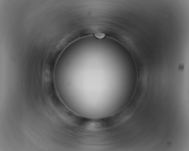 X0000113320220200909211204