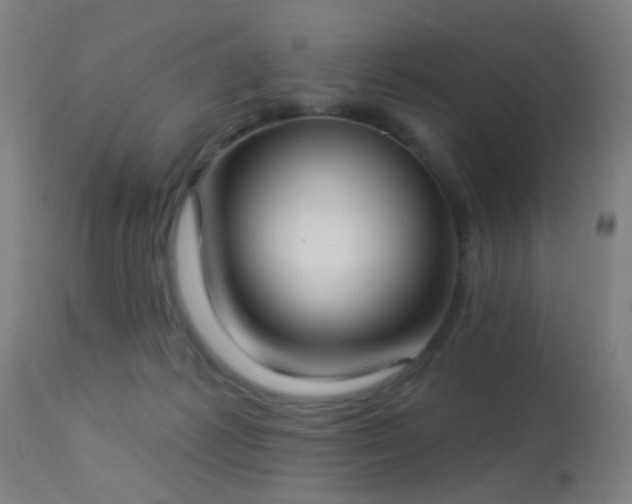 X0000113320221200909211203