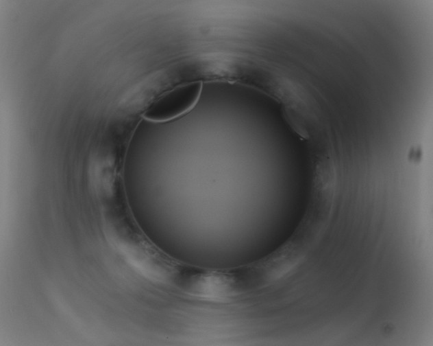 X0000113320223200909211203