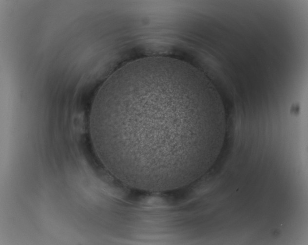 X0000113320224200909211203