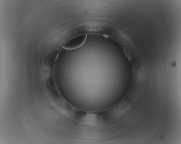 X0000113320227200909211203