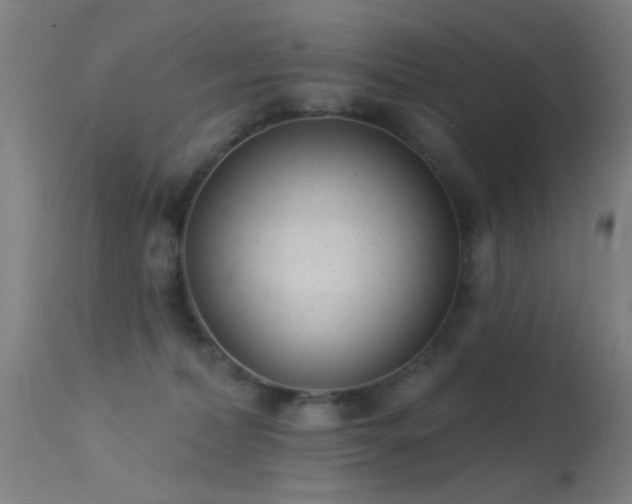 X0000113320228200909211203