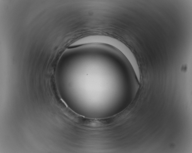 X0000113320229200909211203