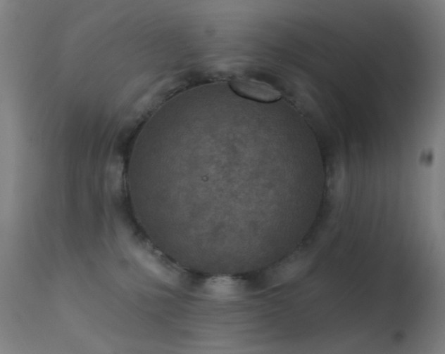 X0000113320231200909211203