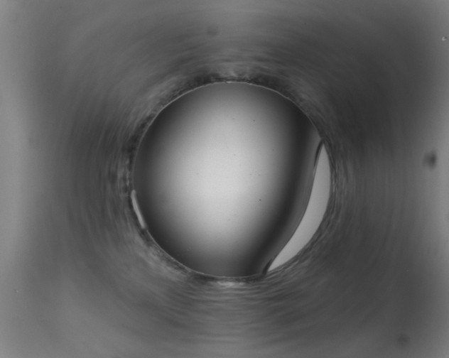 X0000113320233200909211203