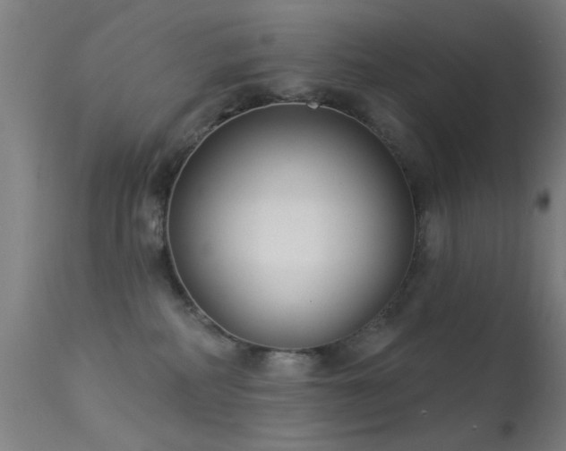 X0000113320234200909211203