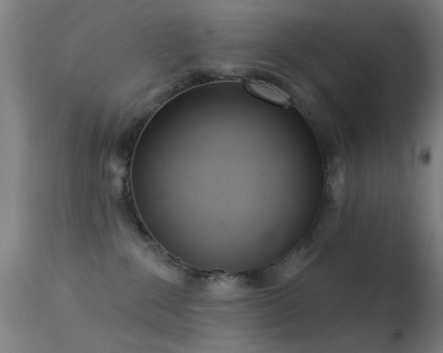 X0000113320235200909211203