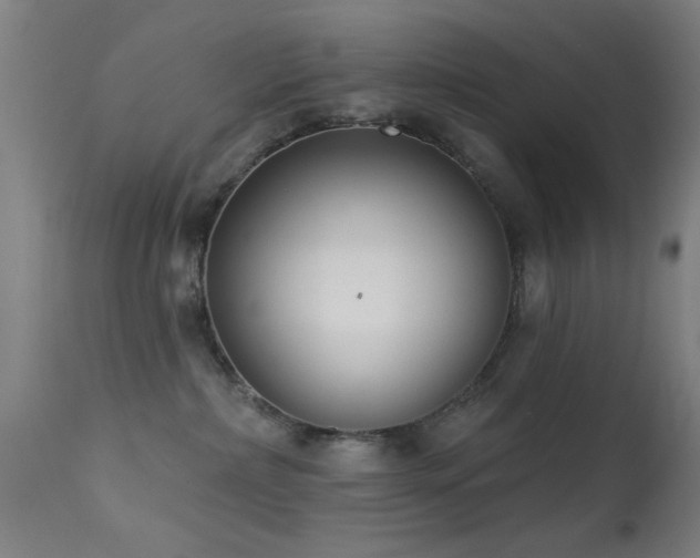 X0000113320236200909211203