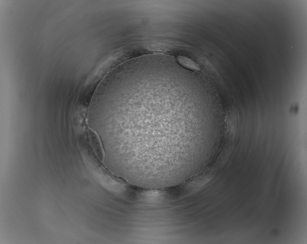 X0000113320237200909211203