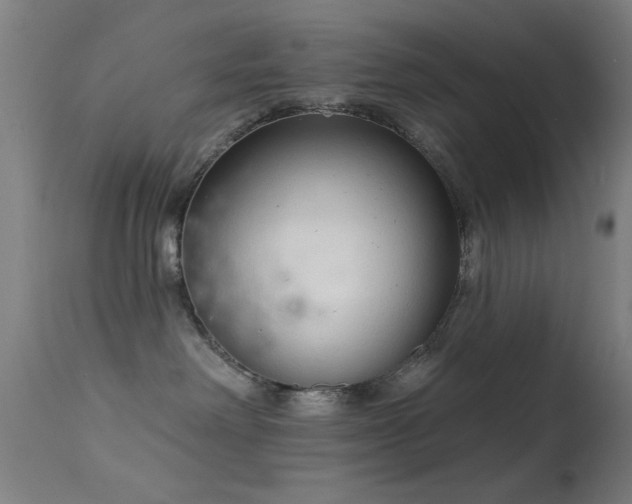 X0000113320238200909211203