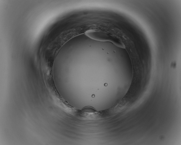 X0000113320239200909211203