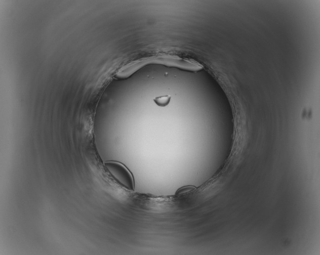 X0000113320240200909211203