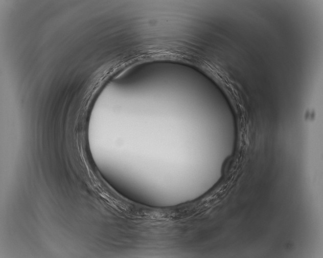 X0000113320241200909211202