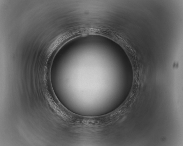 X0000113320242200909211202