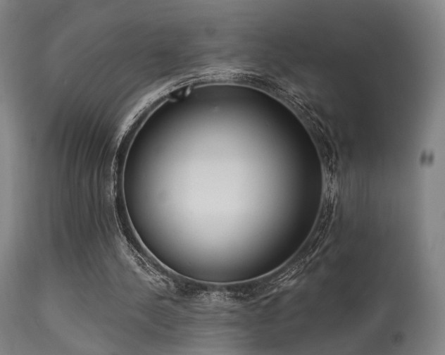 X0000113320244200909211202