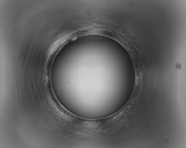 X0000113320245200909211202