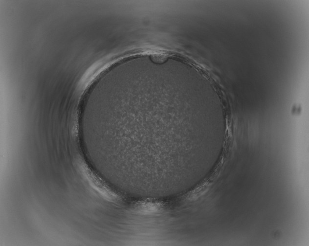 X0000113320247200909211202