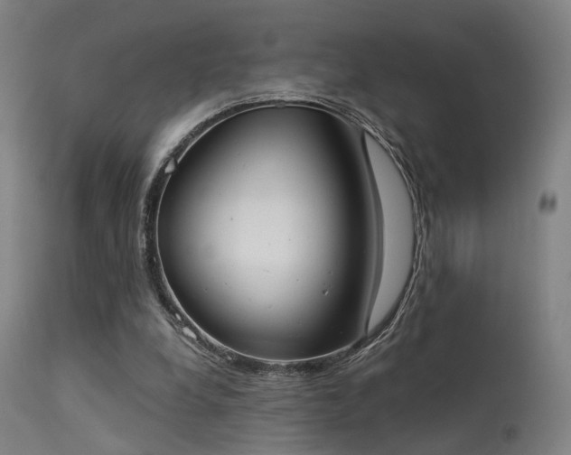 X0000113320248200909211203