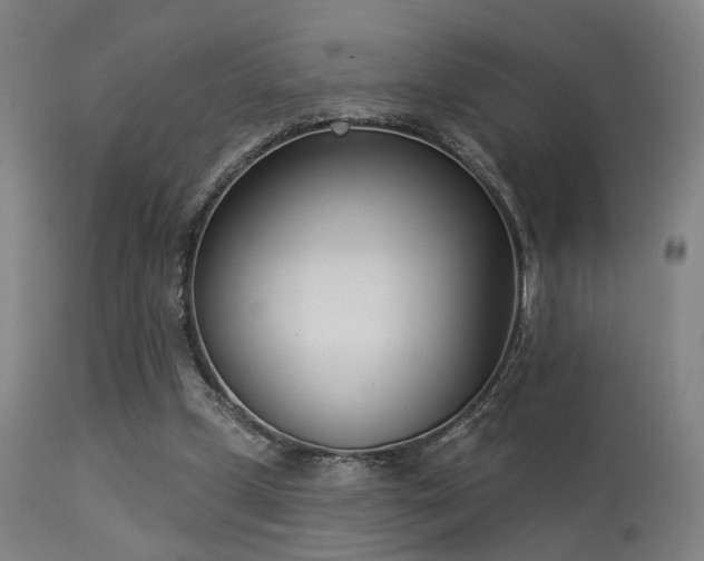 X0000113320249200909211203