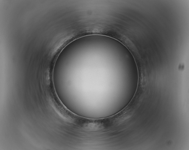 X0000113320251200909211203