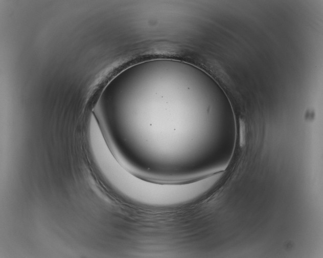 X0000113320252200909211203