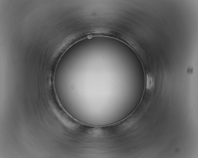 X0000113320253200909211203