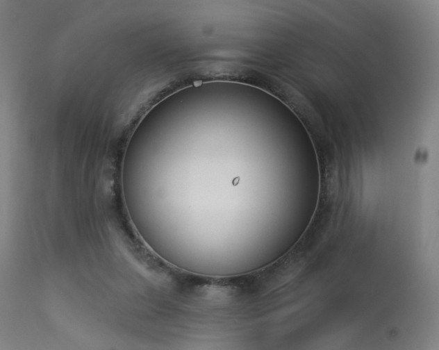 X0000113320255200909211203