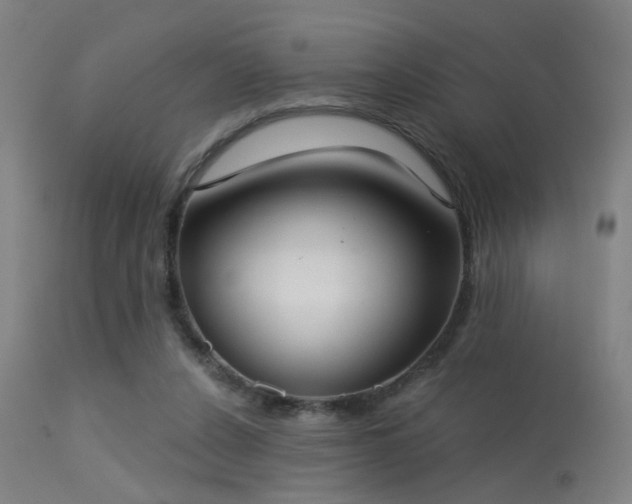 X0000113320256200909211203