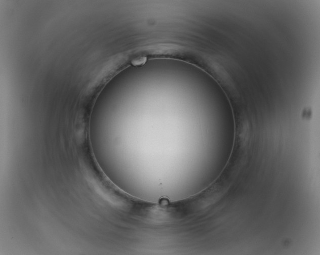 X0000113320261200909211203