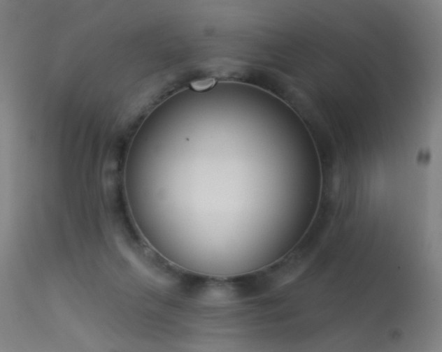 X0000113320263200909211203