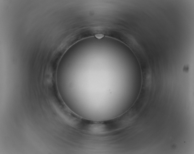 X0000113320266200909211203