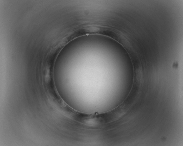 X0000113320267200909211203